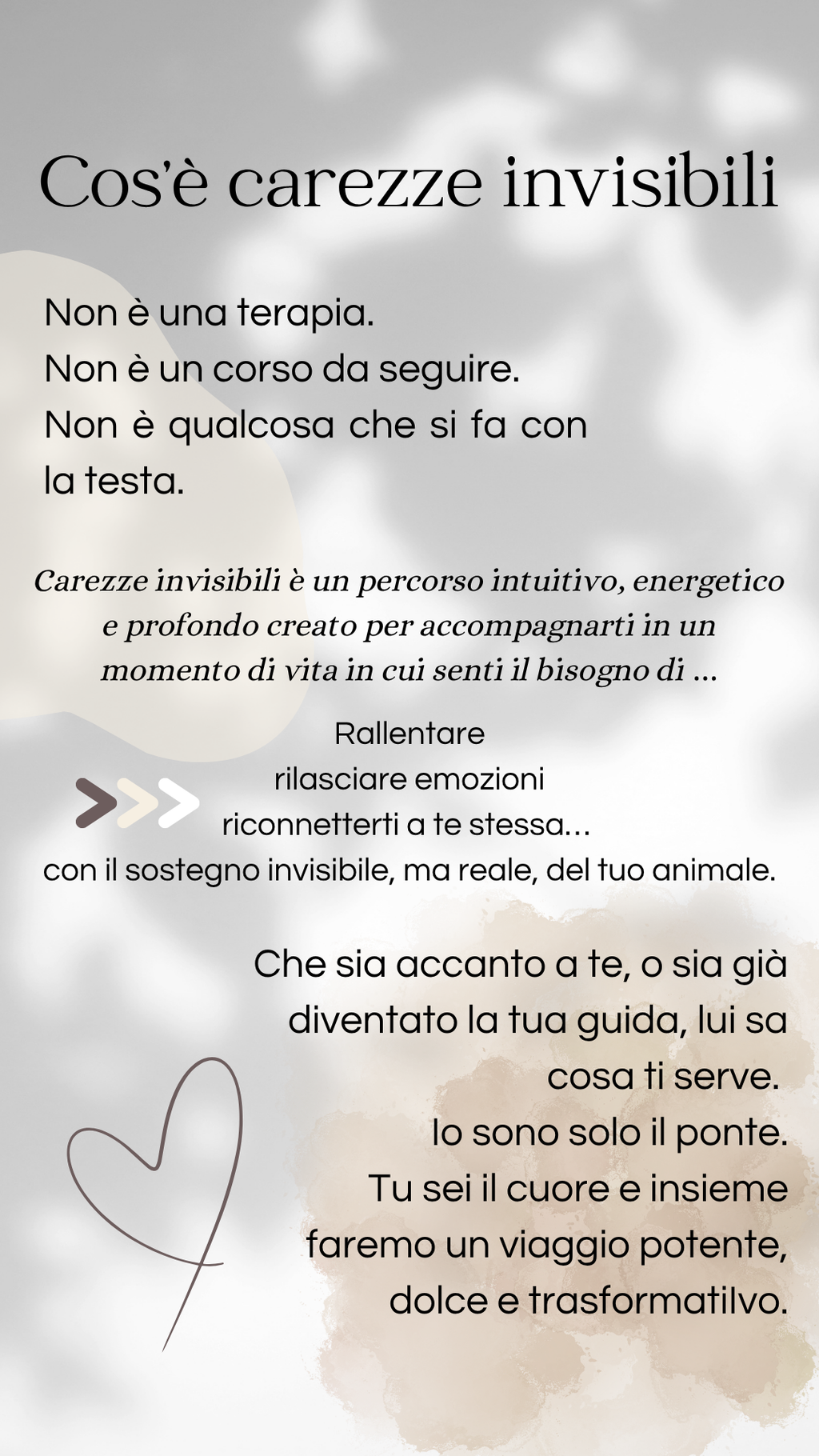 VIAGGIO ENERGETICO CON IL TUO ANIMALE